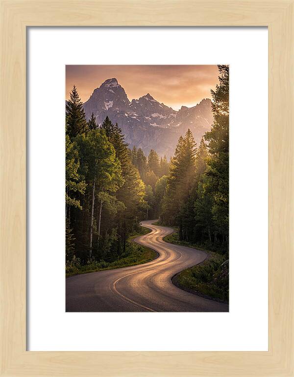 Winding Through Natures Embrace