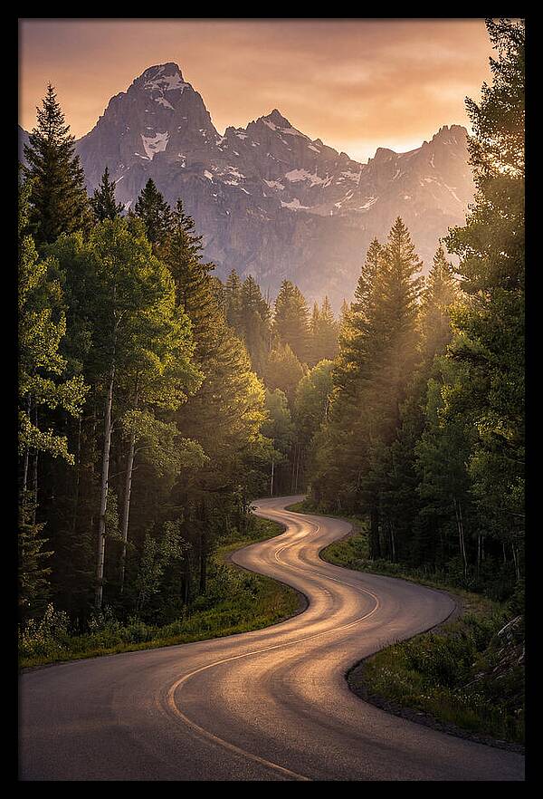 Winding Through Natures Embrace