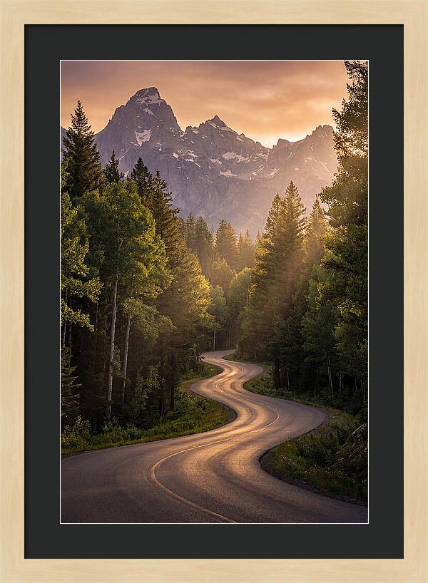 Winding Through Natures Embrace