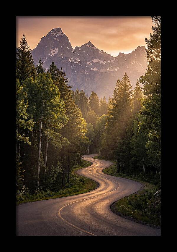 Winding Through Natures Embrace