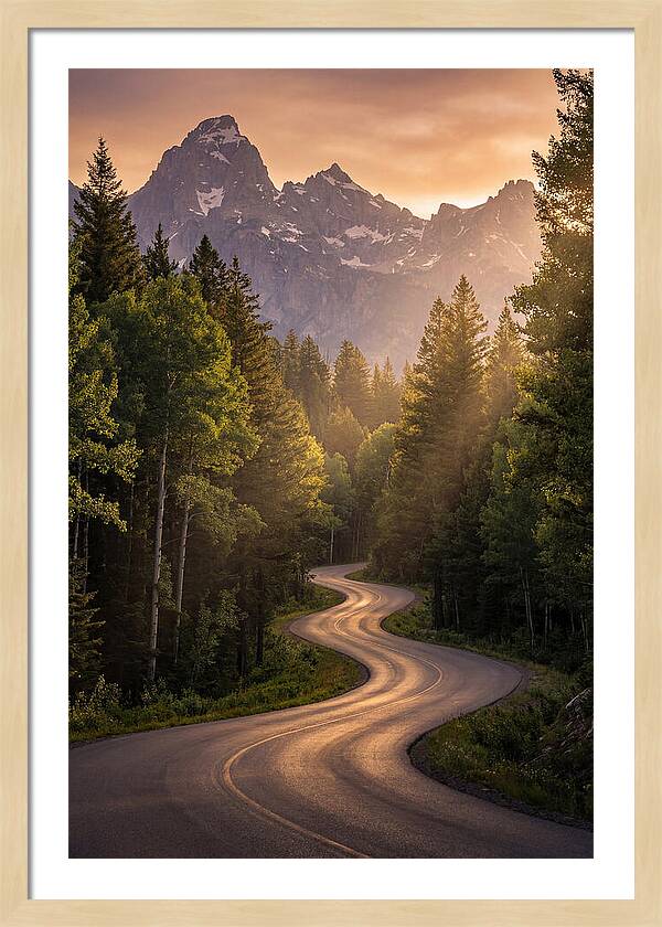 Winding Through Natures Embrace
