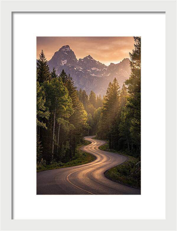 Winding Through Natures Embrace