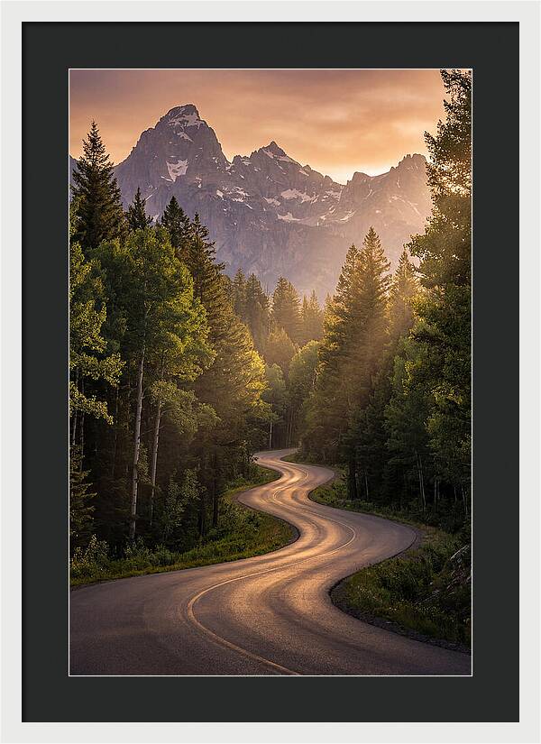Winding Through Natures Embrace