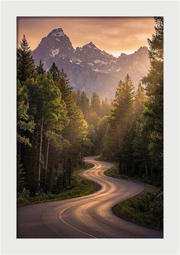 Winding Through Natures Embrace
