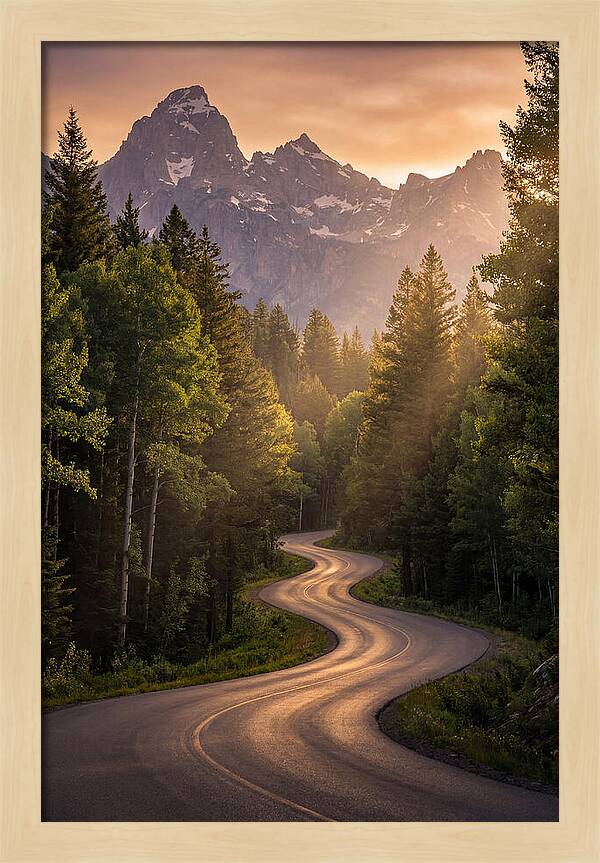 Winding Through Natures Embrace