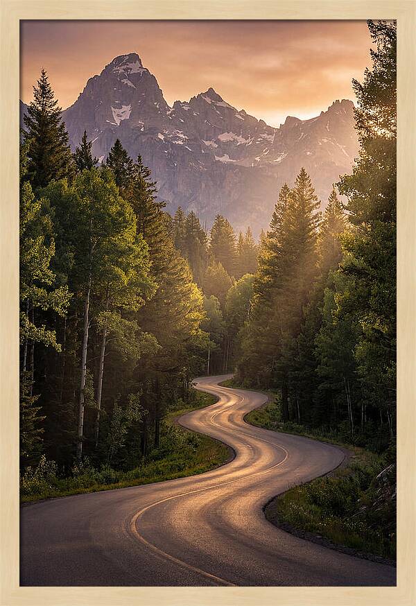 Winding Through Natures Embrace