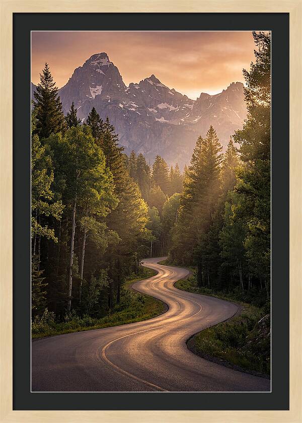 Winding Through Natures Embrace