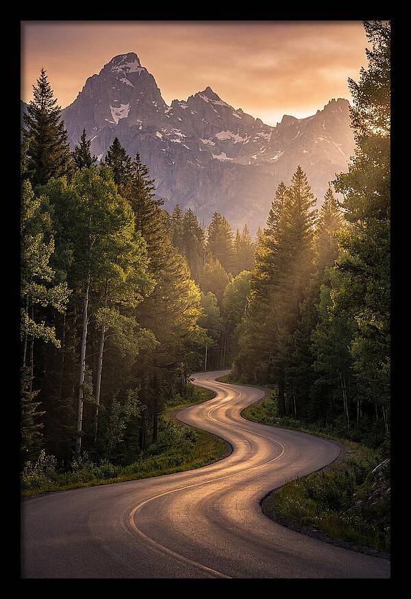 Winding Through Natures Embrace