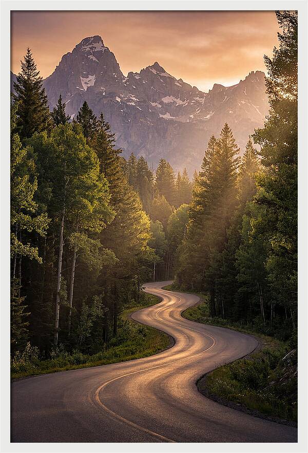 Winding Through Natures Embrace
