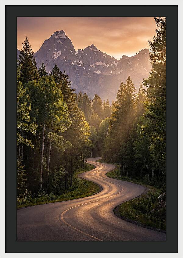 Winding Through Natures Embrace