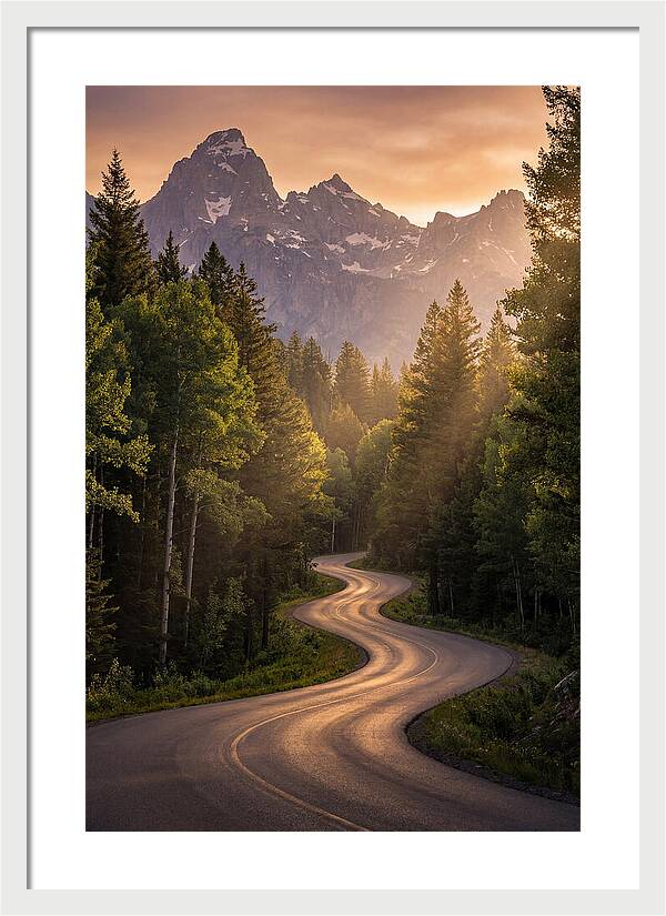 Winding Through Natures Embrace