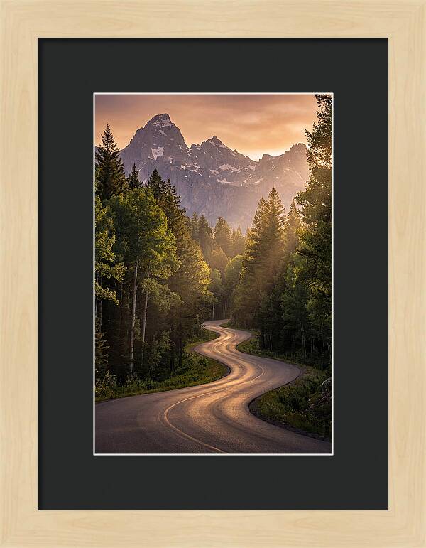 Winding Through Natures Embrace