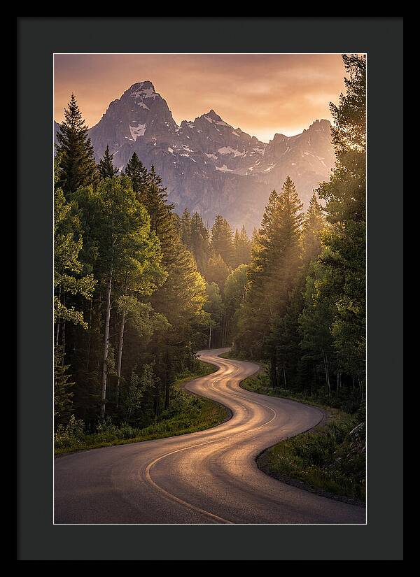 Winding Through Natures Embrace