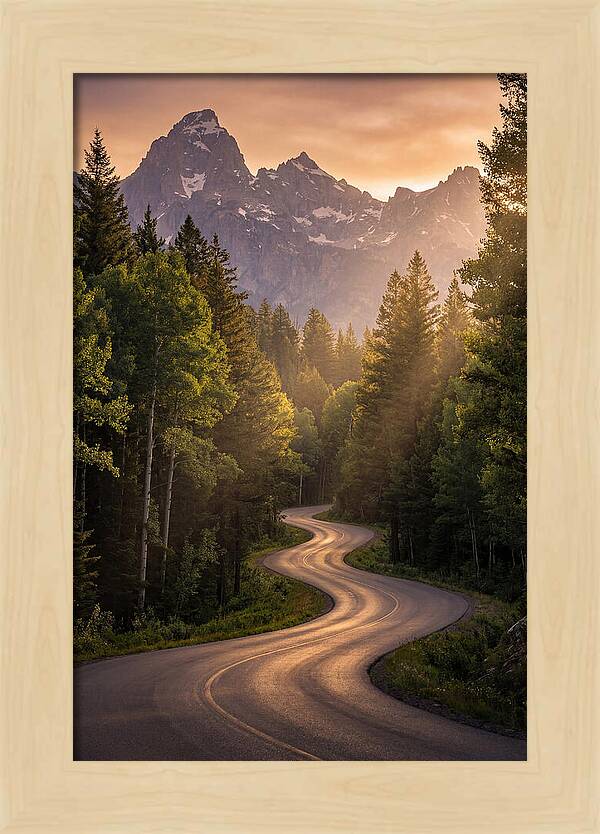 Winding Through Natures Embrace