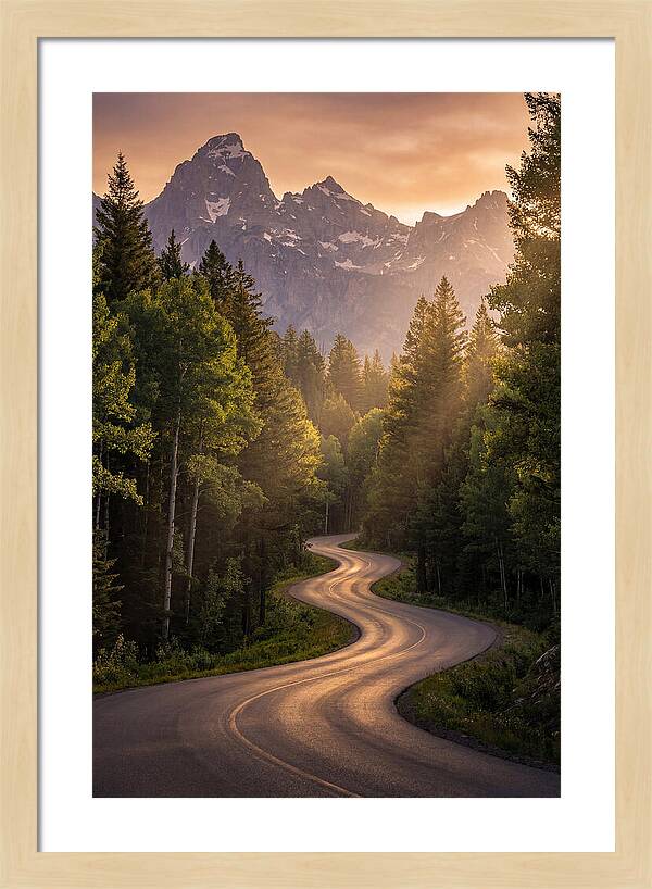 Winding Through Natures Embrace