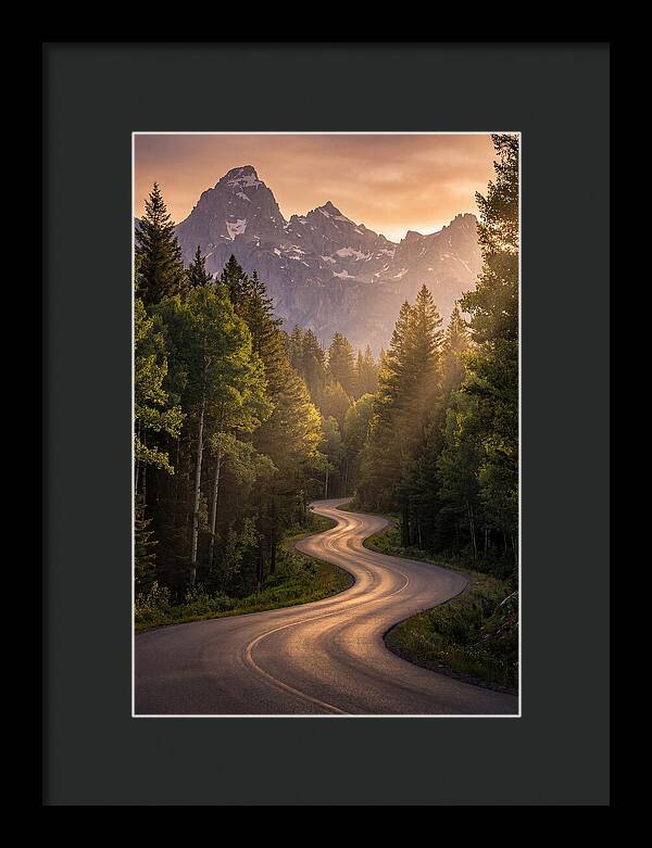 Winding Through Natures Embrace