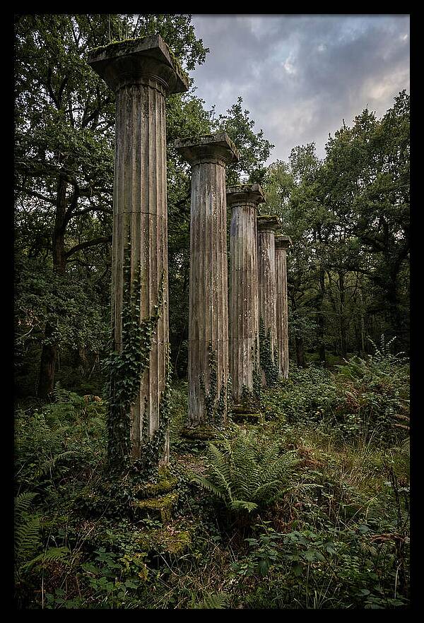 Windsor Ruins Among Nature