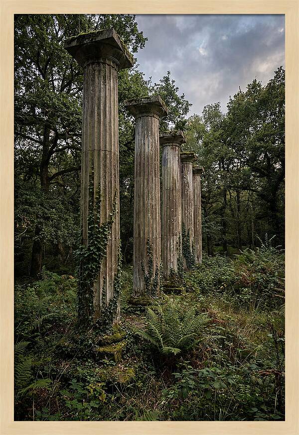 Windsor Ruins Among Nature