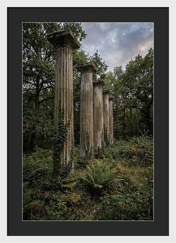Windsor Ruins Among Nature