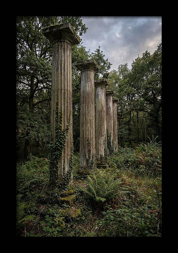 Windsor Ruins Among Nature