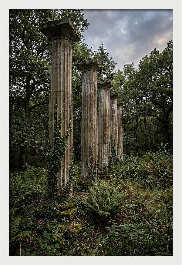 Windsor Ruins Among Nature