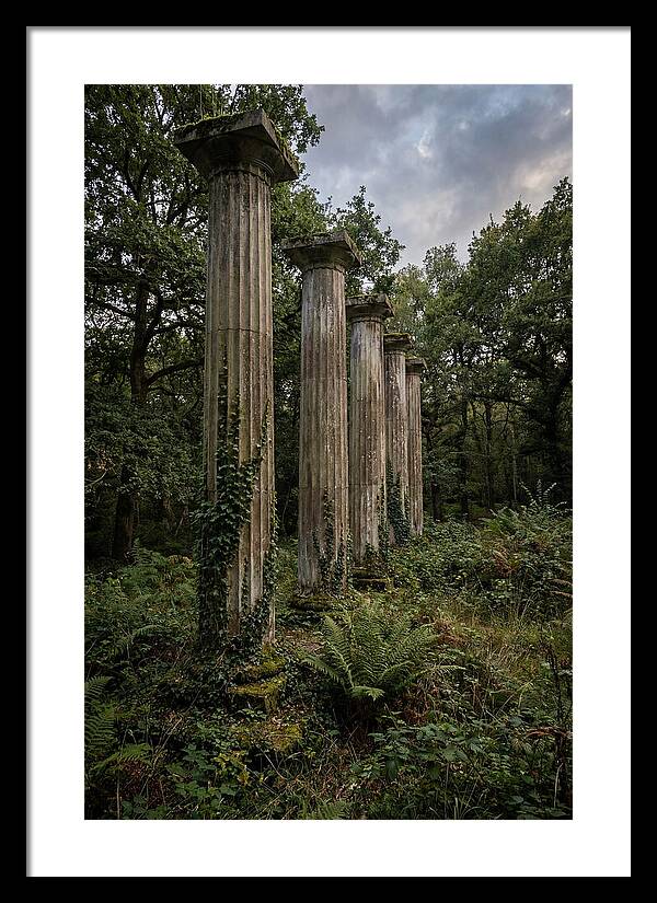 Windsor Ruins Among Nature