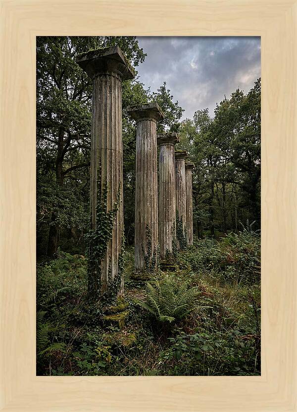Windsor Ruins Among Nature