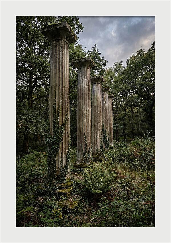 Windsor Ruins Among Nature