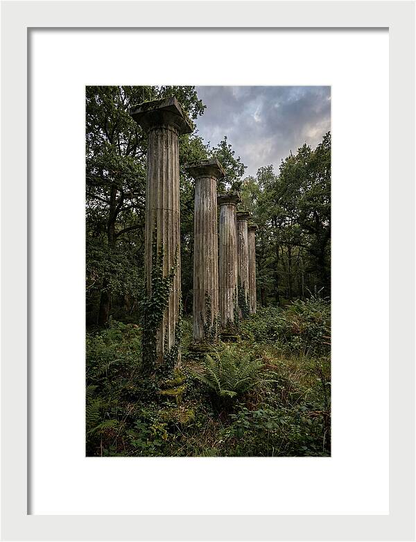 Windsor Ruins Among Nature