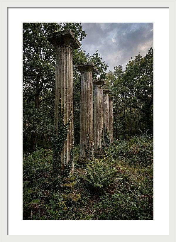 Windsor Ruins Among Nature