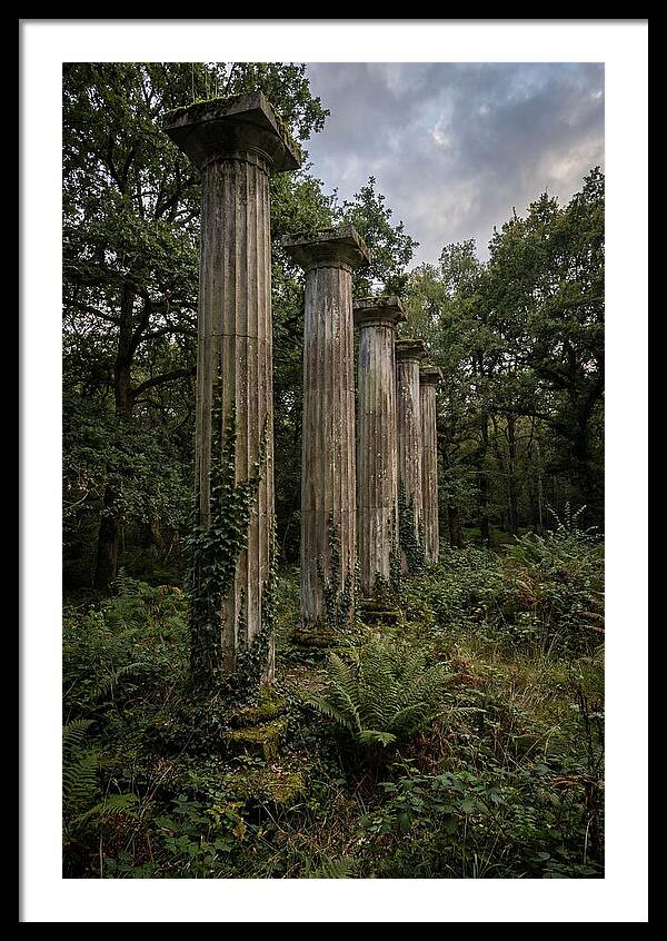 Windsor Ruins Among Nature