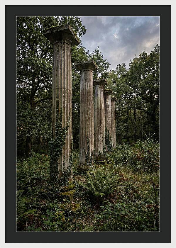 Windsor Ruins Among Nature