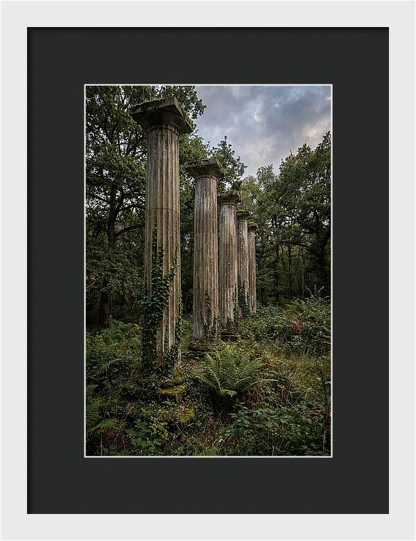 Windsor Ruins Among Nature