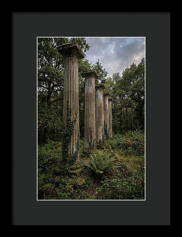 Windsor Ruins Among Nature