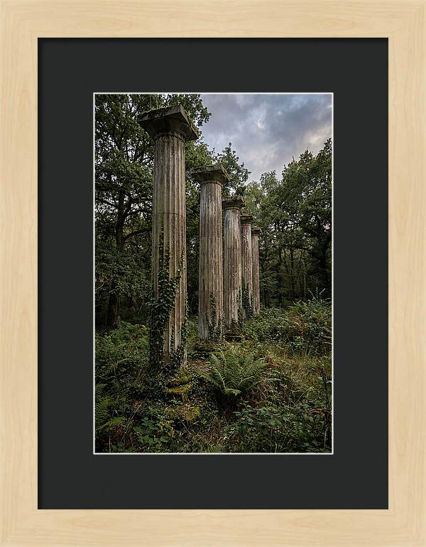 Windsor Ruins Among Nature