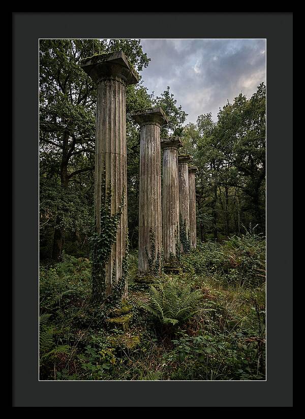 Windsor Ruins Among Nature