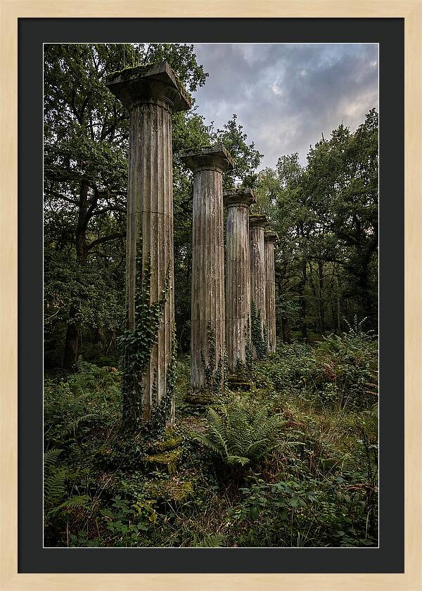 Windsor Ruins Among Nature