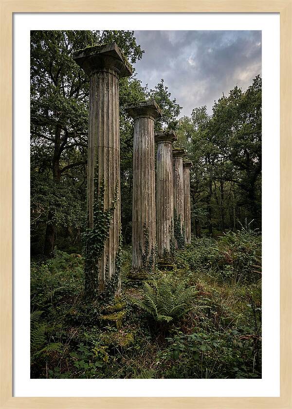 Windsor Ruins Among Nature