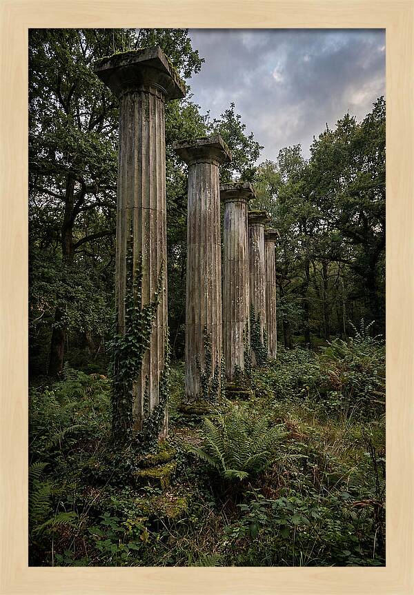 Windsor Ruins Among Nature