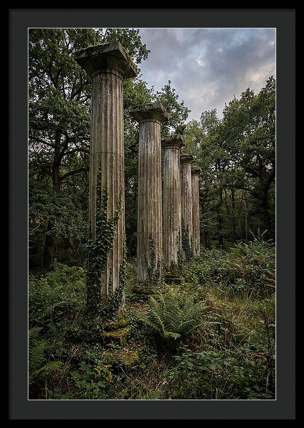 Windsor Ruins Among Nature