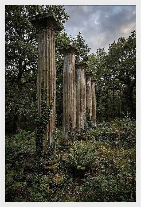 Windsor Ruins Among Nature