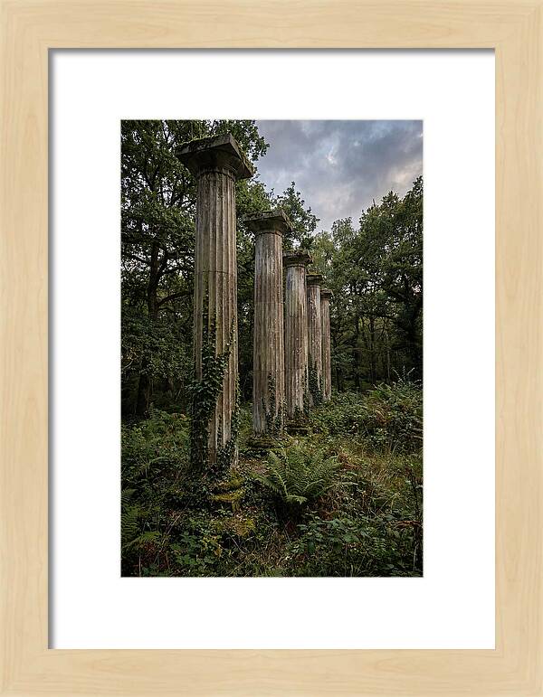 Windsor Ruins Among Nature
