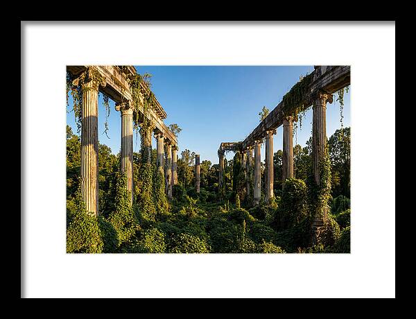 Windsor Ruins Overgrown Serenity
