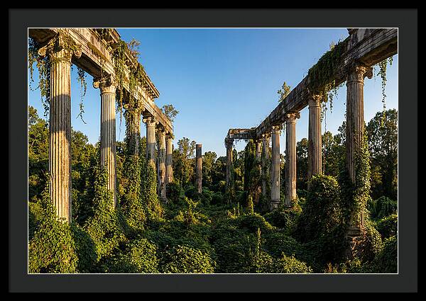 Windsor Ruins Overgrown Serenity