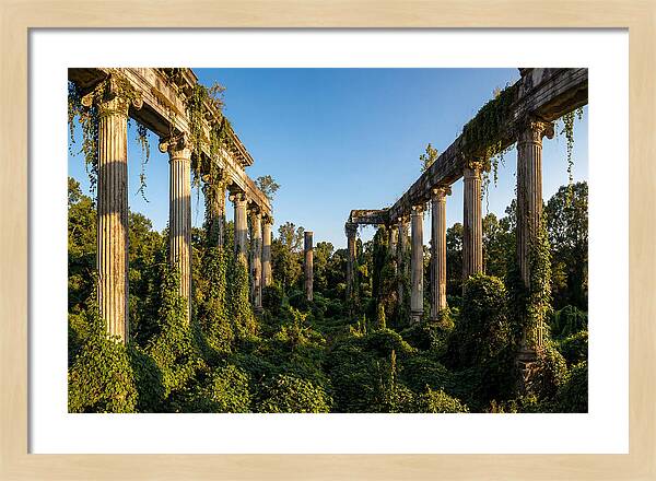 Windsor Ruins Overgrown Serenity