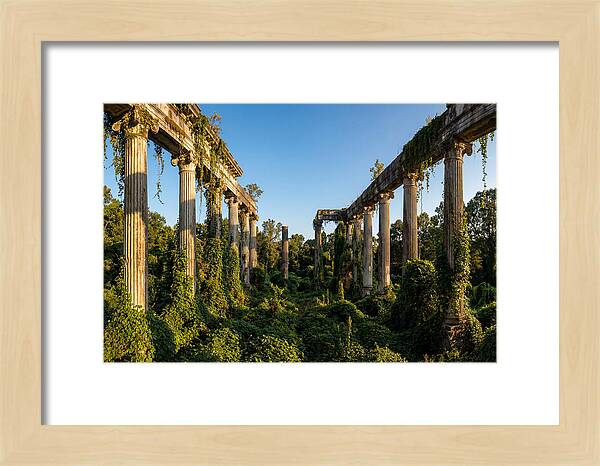 Windsor Ruins Overgrown Serenity