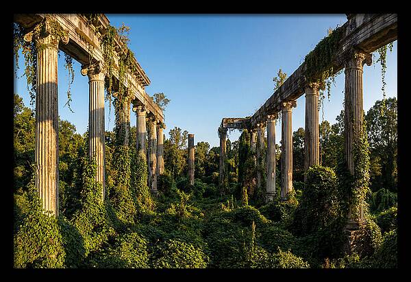 Windsor Ruins Overgrown Serenity
