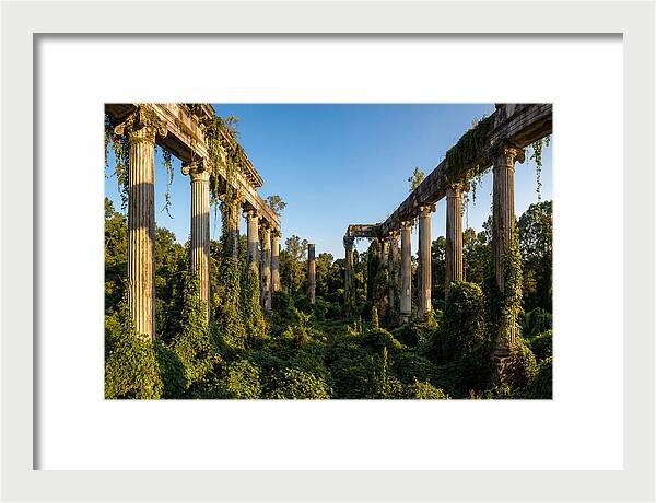 Windsor Ruins Overgrown Serenity