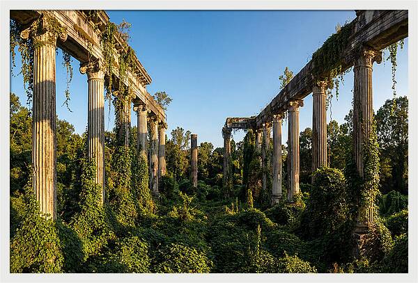 Windsor Ruins Overgrown Serenity