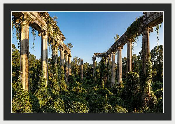 Windsor Ruins Overgrown Serenity